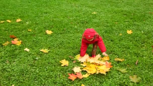 Niña vomita hojas en el parque de otoño — Vídeos de Stock