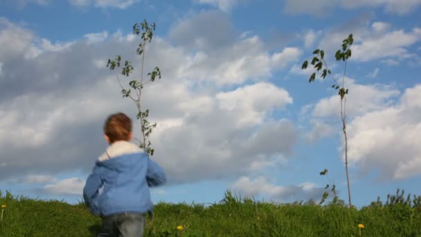 Мальчик течет вода на дереве — стоковое видео