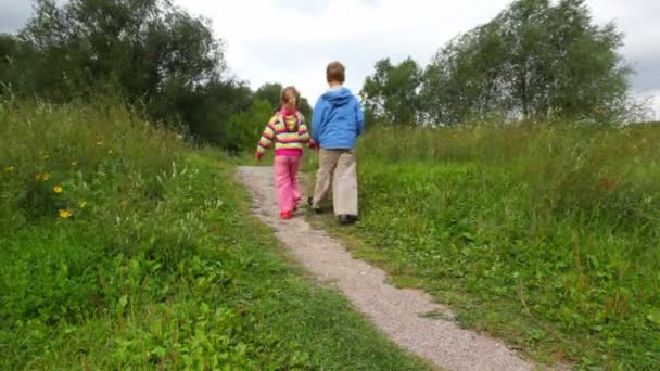 Niño y niña se unen las manos caminando en el parque, desde la cámara — Vídeos de Stock