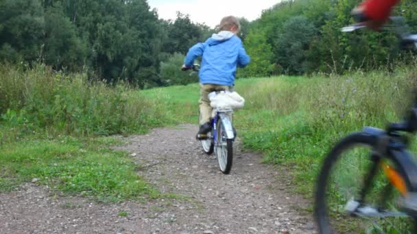 Man and boy riding bicycles in park, from camera — Stock Video