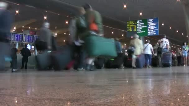 MOSCOW, JUNE 16: Foreign passengers arrive at Domodedovo International Airport on June 16, 2009 in Moscow, Russia. Domodedovo is Russia's largest airport in terms of passenger and cargo traffic — Stock Video