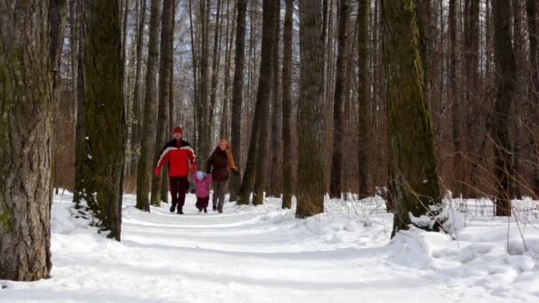Rodina s malou holkou, běh v lese — Stock video
