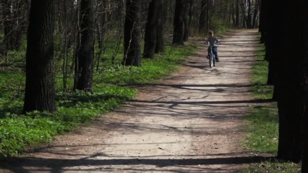 Fiú megy vissza az erdei úton kerékpár tavasszal — Stock videók