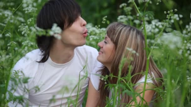 Joven hombre y chica soplando dientes de león el uno en el otro y riendo — Vídeo de stock