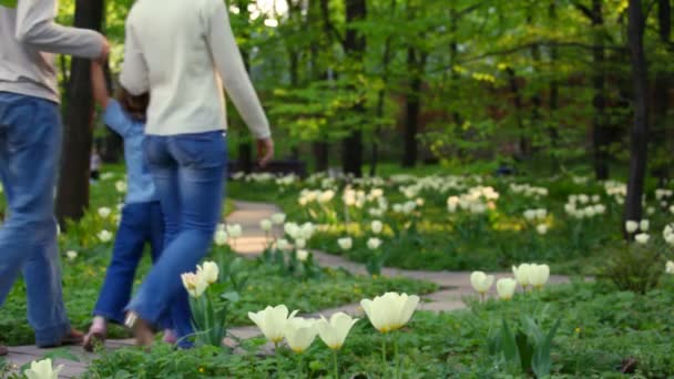 Family walks in the park — Stock Video