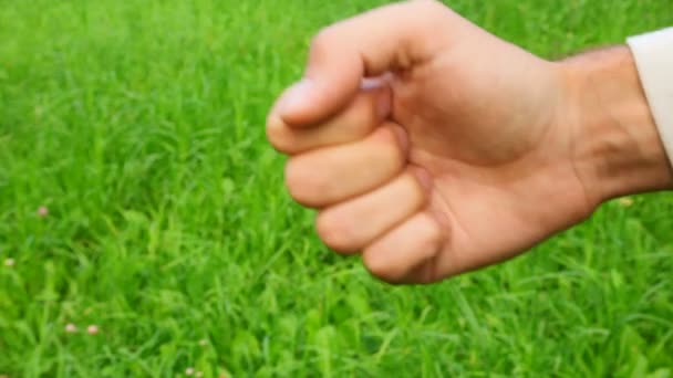 Männliche Hand auf Gras zählen — Stockvideo