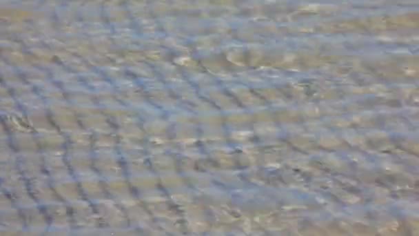 A través del agua el fondo arenoso es visible — Vídeo de stock