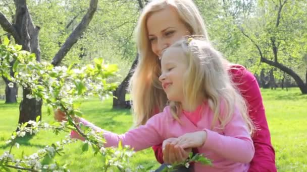Κορίτσι παίζει με τον κλάδο των δέντρων aple — Αρχείο Βίντεο