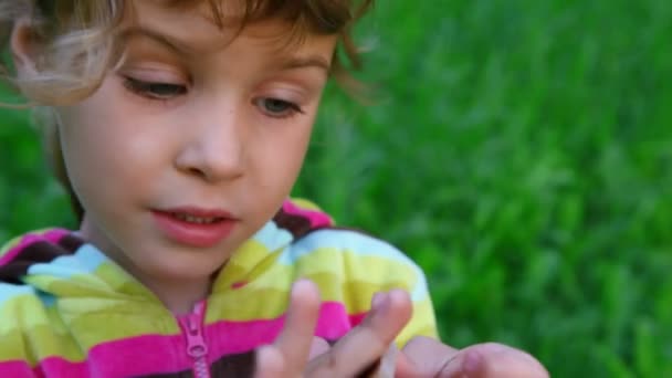 Niña hablando en verde hierba fondo — Vídeo de stock