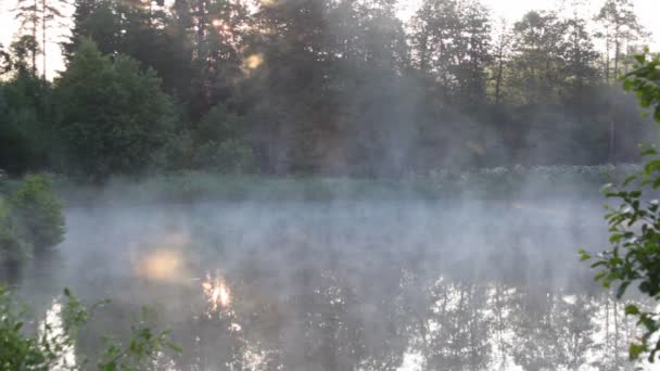 Gölet üzerinde yükselterek sis — Stok video