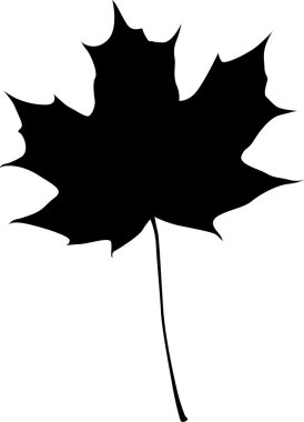 Vector maple leaf
