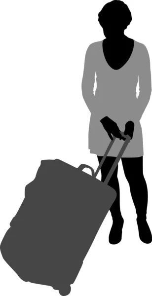 Donna con borsa vettoriale — Vettoriale Stock