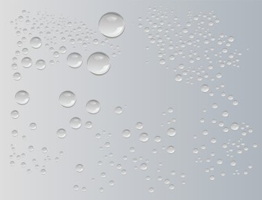 Water drops vector clipart