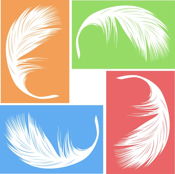 Feather vector — Stock Vector