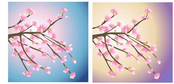 Branche avec vecteur de fleurs roses — Image vectorielle