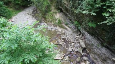 dağ nehir taşları Forest, üstten görünüm asma köprü panning ile