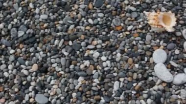 Yaz pebble Beach, taş yazıt kaydırma