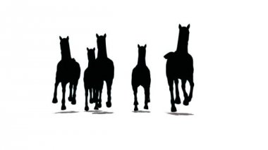 at sürüsü de tarafından Önden Görünüm, beyaz zemin üzerine siyah siluet çalıştıracak