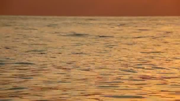 Karakter beweging achtergrond, zwaaien zee met zonsondergang licht — Stockvideo