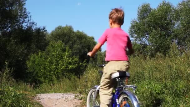 Маленький мальчик в розовой футболке на голубом велосипеде идти по тропинке в парке — стоковое видео