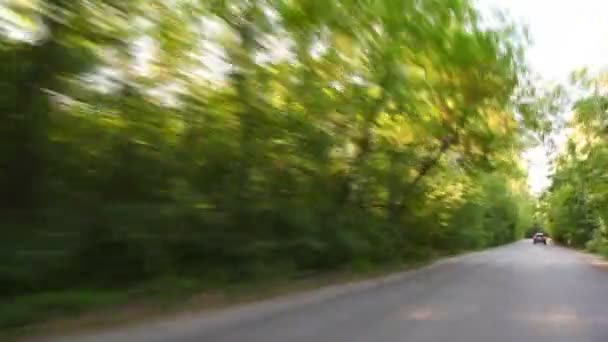 Таймлапс автомобіль за кермом на парку — стокове відео