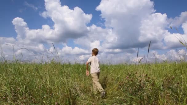 Menino e correndo através do campo, a partir da câmera — Vídeo de Stock