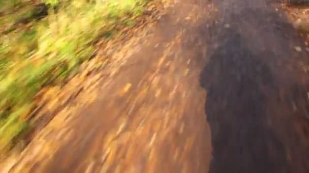 Видео от первого лица велосипедиста, идущего по безасфальтированной дороге — стоковое видео