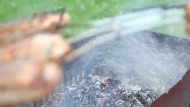 Blussen van vlam in de grill met de stok — Stockvideo
