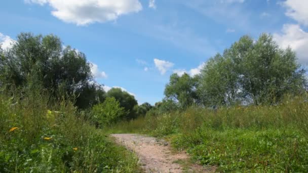 Kvinna med gult siden kör i sommarpark till kamera — Stockvideo