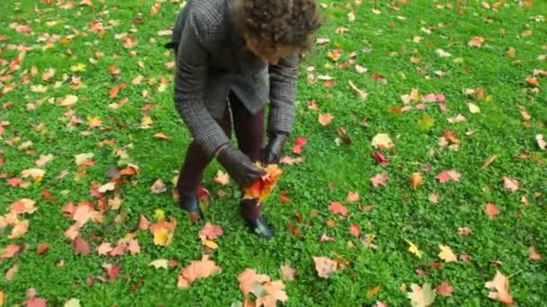 Молода жінка збирає осіннє листя з землі — стокове відео