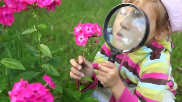 Girl observe pink flowers through magnifying glass in summer — Stock Video