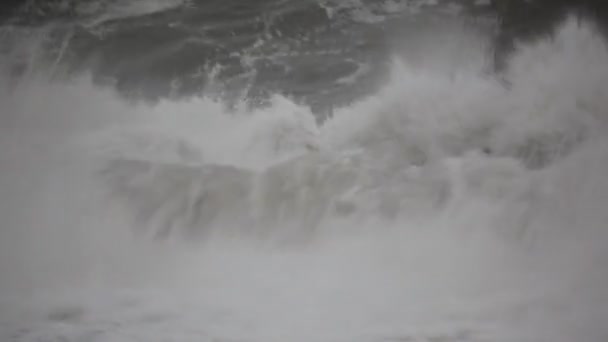 Dark water of sea in storm, dull weather — Stock Video