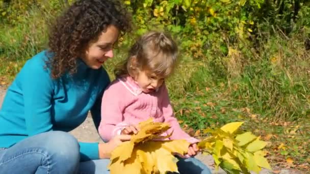 Junge Frau mit kleinem Mädchen schaut sich Ahornblätter genau an — Stockvideo