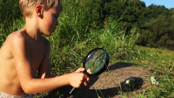 Chlapec se spálí listy zvětšovací sklo na cuteth v parku. prodleva čas — Stock video