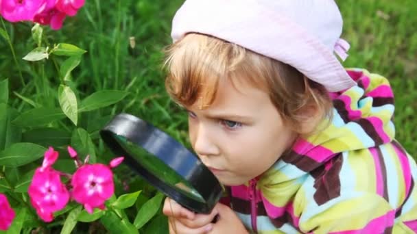 Chica mira en flores de color rosa a través de lupa y hablar en el parque — Vídeos de Stock