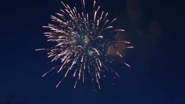 De nombreux éclairs multicolores de feux d'artifice dans le ciel du soir — Video