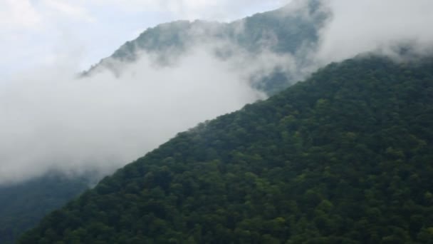 Fog in mountains with forest landscape, panning, sochi, russia — Stock Video