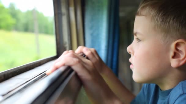 Niño mirando a la naturaleza desde el transporte ferroviario en movimiento — Vídeos de Stock