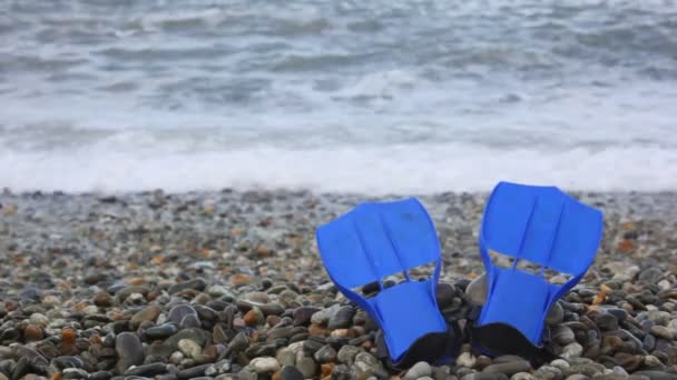 Sea star stojący na wybrzeże żwirkowa, fala surfowania w tle — Wideo stockowe