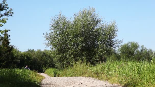 Viszont kék férfi edzőterem ruhák megy vissza a fekete kerékpárral a park — Stock videók