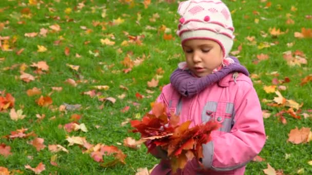 Niña con hojas de arce de otoño rojo, hierba verde en el fondo — Vídeo de stock