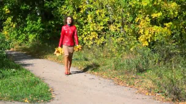 Mujer joven con hojas de arce en las manos caminando en el parque de otoño — Vídeo de stock