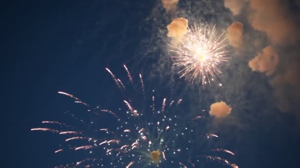 Fuegos artificiales cielo nocturno — Vídeos de Stock