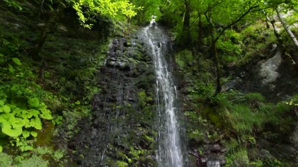 Wasserfall im Wald, Schwenk nach unten, Sotschi, Russland — Stockvideo