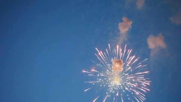 Πολύχρωμα πυροτεχνήματα των διαφόρων χρωμάτων πάνω από το νυχτερινό ουρανό — Αρχείο Βίντεο