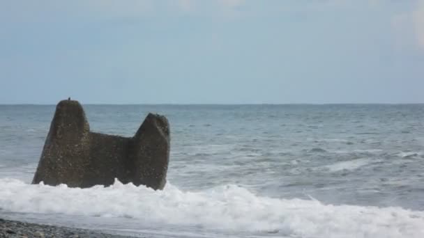 Olas de surf de mar rompen contra la roca en la playa de guijarros — Vídeos de Stock