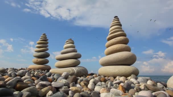 Pila di ciottoli sulla spiaggia di pietra, mare e cielo con uccelli sullo sfondo — Video Stock