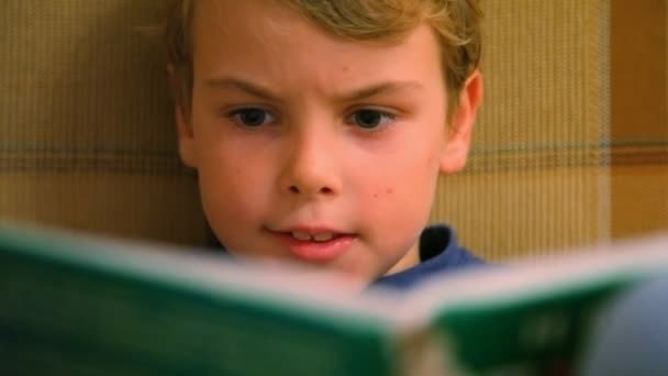 Jongen lezen boek — Stockvideo