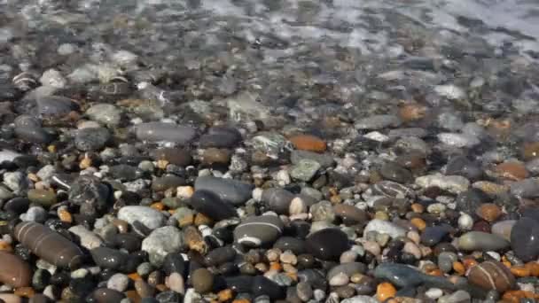 Moře surfovat s pěnovým pokrývající oblázkové pobřeží, makro střelbu — Stock video