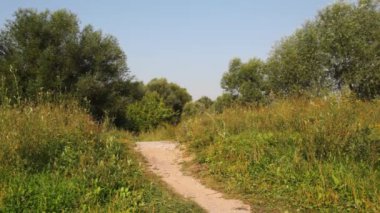 erkek ve kadın geri park yolundaki çalıştırın